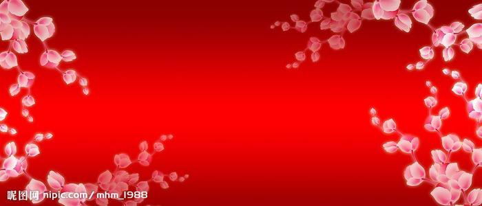 德国护照扫描件怎么买高仿